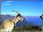 foto Monte Crocione